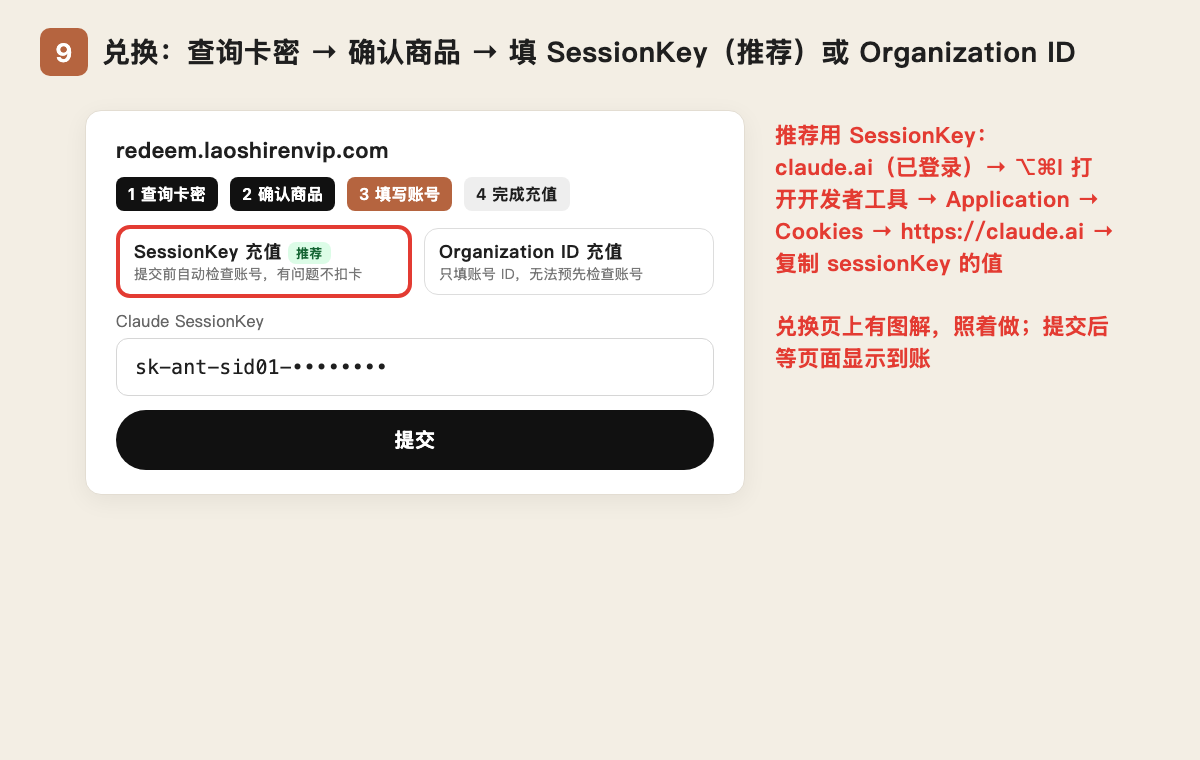 第 9 步：查询卡密后，填 SessionKey（推荐）或 Organization ID
